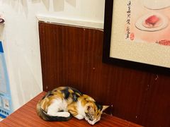 -洪齐林老镇