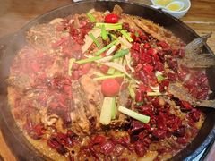 -老板恋上鱼(振华商厦店)