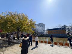 -西园寺素食(西园弄戒幢律寺店)