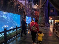 -华夏文旅海洋公园