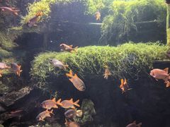 -太平洋海底世界