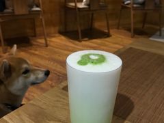 抹茶酸奶-柴务处·柴犬主题狗咖