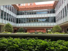 -香港大学