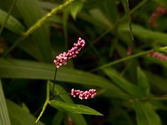 -宁波市保国寺古建筑博物馆