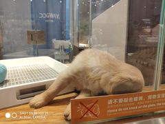 -狗道宠物(常熟印象城店)