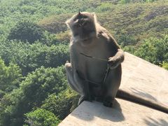 -乌鲁瓦图寺