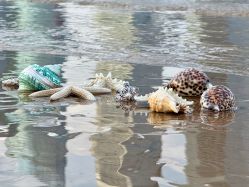 -青岛香格里拉·氣水疗中心