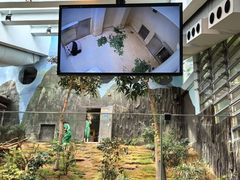 -香港海洋公园