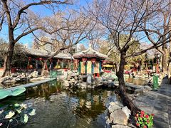 -白家大院·王府宫廷菜(苏州街店)