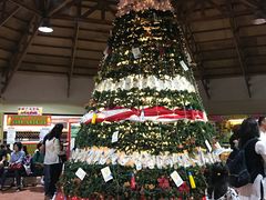 -长滩岛登岛码头