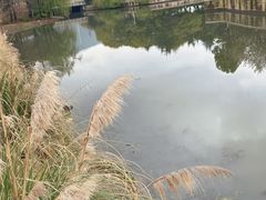 -诺贝尔湖公园