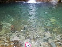 -雁荡山雁湖景区