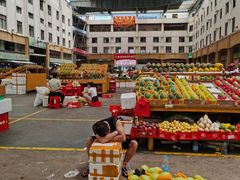-三亚新鸿港水果一级批发市场