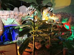 -恐龙探索乐园(磁器口店)