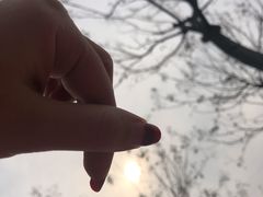 -洨河生态公园