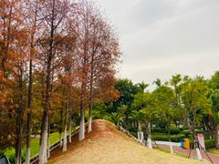 -厦门园林博览苑