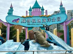 -海合安成都极地海洋公园