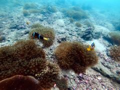 -西涌国际滨海旅游区