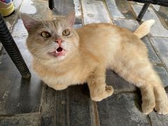 -炊烟餐厅