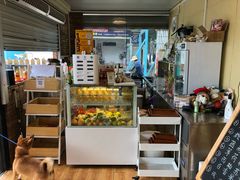 -柴犬高等学院·狗咖·柴犬售卖·宠物训练