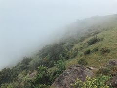-大姆山草场