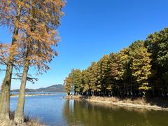 -四明山国家森林公园
