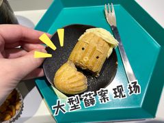 -茶是一枝花泡茶店