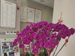 -土豆口腔(凤凰北总店)