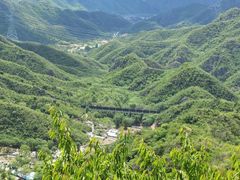 -大岭沟猕猴桃谷风景区