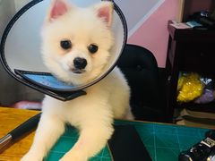 小白哈哈哈哈-零几体验diy皮具工作室(振业城店)