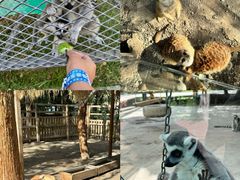 -水上乐园·欢乐世界