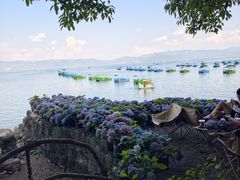 -抚仙湖禄充风景区