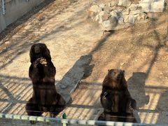 -石家庄市动物园