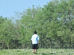 -汉长安城未央宫国家考古遗址公园