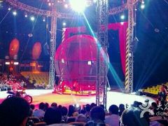 -环球城国际大马戏