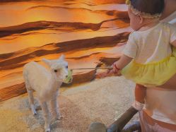 -酷嗒动物文化乐园(cutezoo西溪乐天城店)