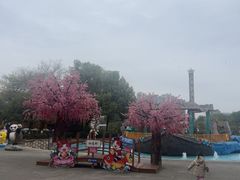 -南湖梦幻岛