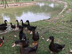 -东郊湿地公园
