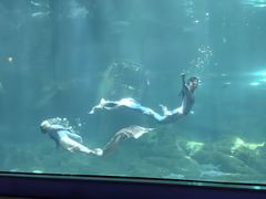 -福州罗源湾海洋世界旅游区