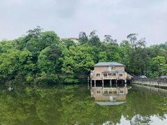 -南山植物园