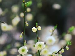 -颐和园