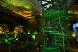 -恐龙探索乐园(磁器口店)