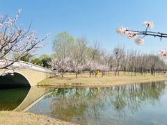 -东郊湿地公园