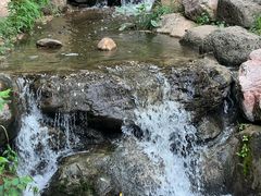 -大连植物园