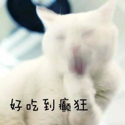 -意念造型