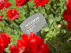 -国家植物园