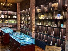 -雪灵魔法世界SHELLY’S TAROT(大良桂畔里店)