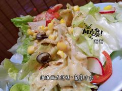蔬菜沙拉-通海俄式烧烤·俄罗斯大串(嵩山路店)