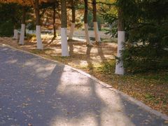 -长白岛森林公园