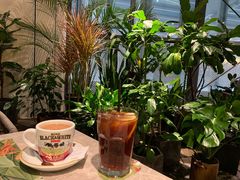 -大树餐厅(红旗街万达店)